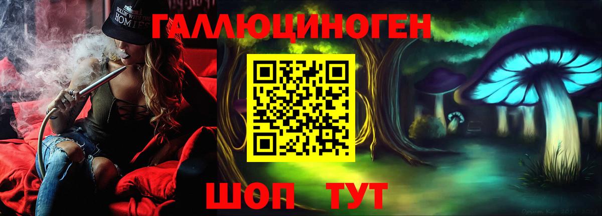 где продают   Псилоцибиновые грибы Cubensis  Верхняя Пышма  Вход с VPN  Псилоцибиновые грибы мицелий 